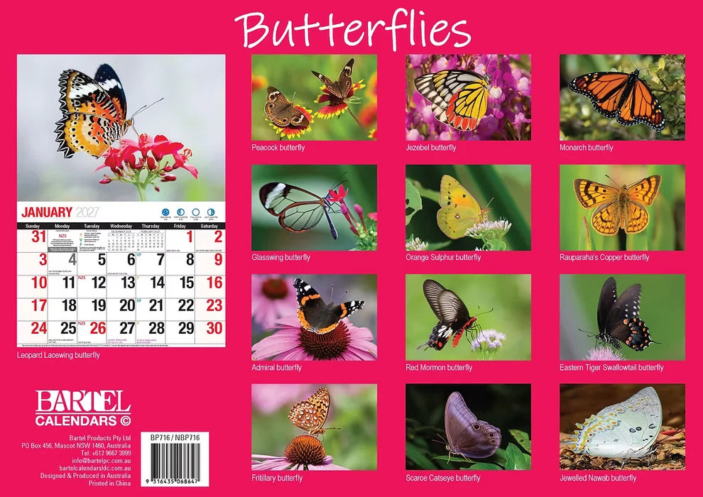 2027 CALENDAR BIG PRINT BUTTERFLIES