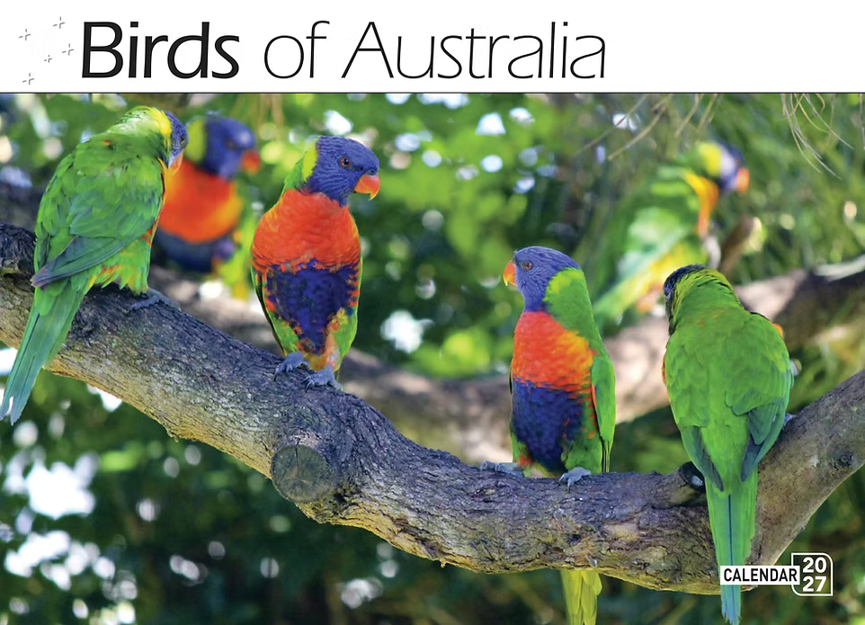 2027 CALENDAR BARTEL AUSTRALIAN BIRDS