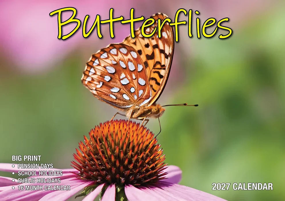 2027 CALENDAR BIG PRINT BUTTERFLIES