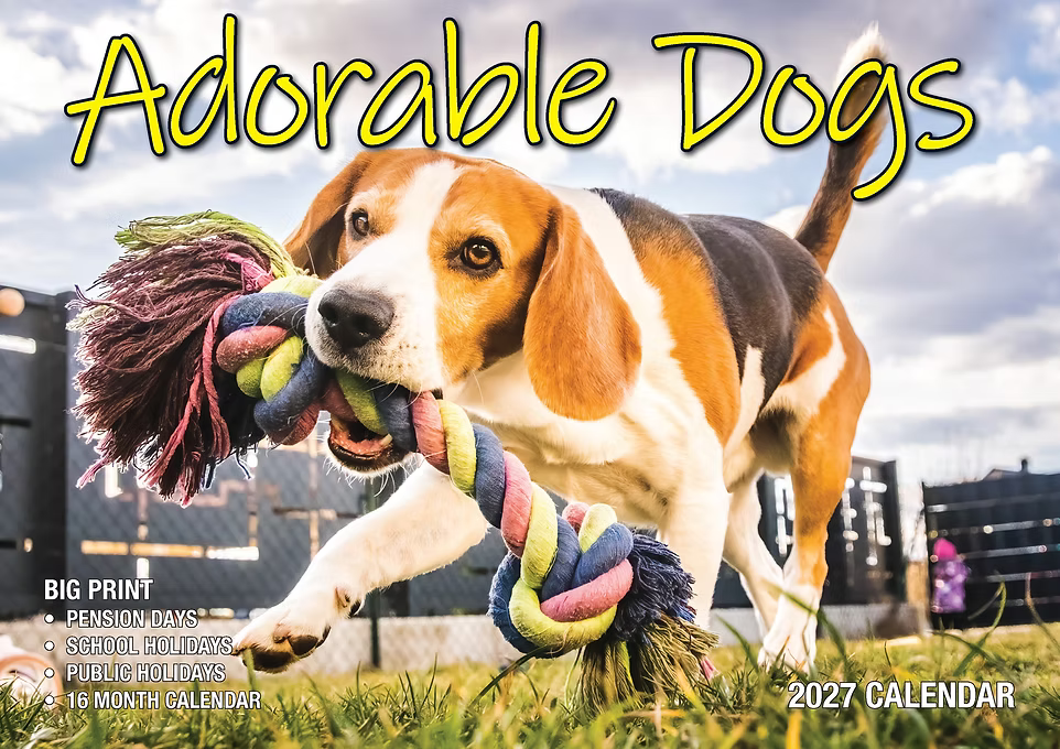 2027 Calendar Bartel Big Print Adorable Dogs Horizontal Wall