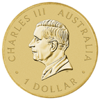 2026 HAPPY BIRTHDAY COIN
