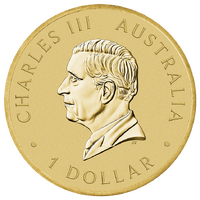 2026 HAPPY BIRTHDAY COIN