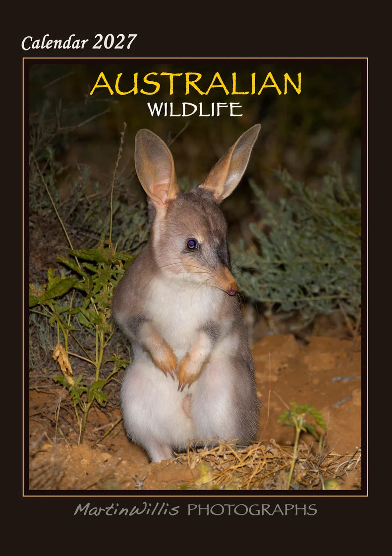 2027 CALENDAR AUSTRALIAN WILDLIFE