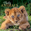 2027 CALENDAR BABY ANIMALS