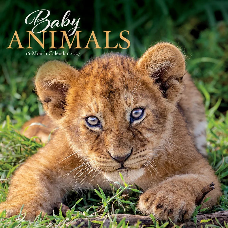 2027 CALENDAR BABY ANIMALS