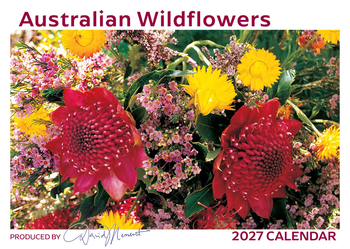 2027 AUSTRALIAN WILDFLOWERS