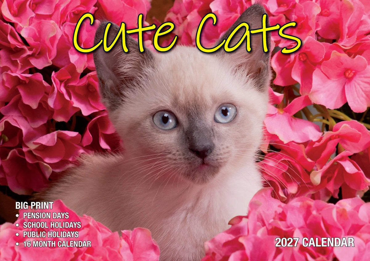 2027 Calendar Bartel Big Print Cute Cats Horizontal Wall