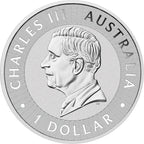 Sundowner - Red Kangaroo 2026 1oz Silver Coloured Coin in Card